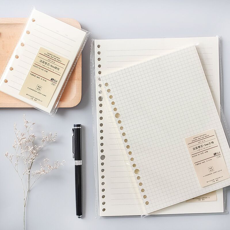 A5 Spiral Dotted Grid Notebook - A5 B5 20 ثقوب دفتر ملاحظات