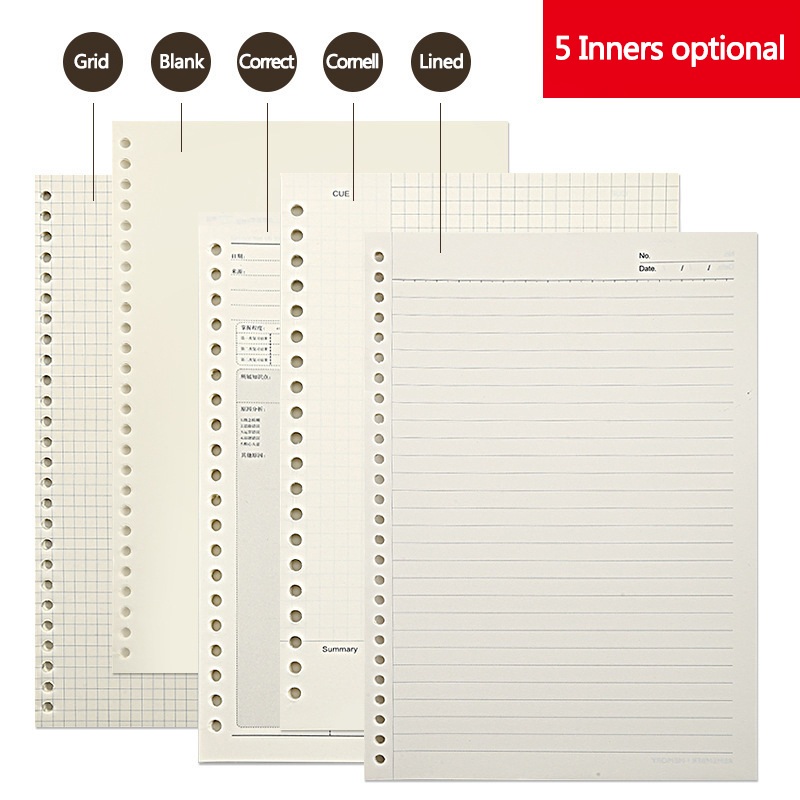 A5 B5 خط شبكة 20 ثقوب فضفاضة و - مراجعة A5 Spiral Dotted Grid Notebook وسعره