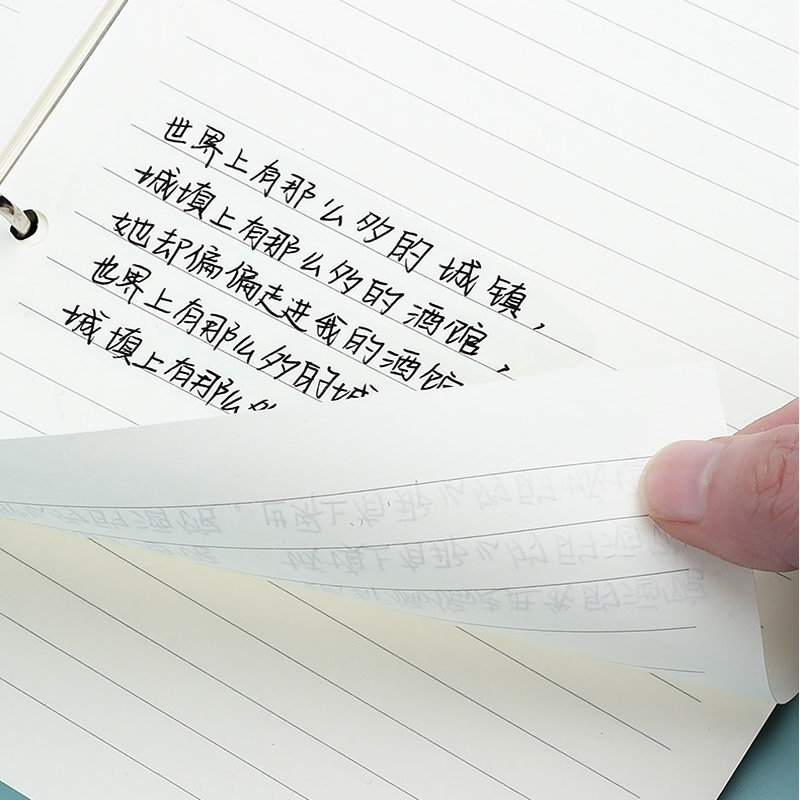 دفتر ملاحظات A5 A6 بأوراق قابل - مراجعة A5 Spiral Dotted Grid Notebook وسعره