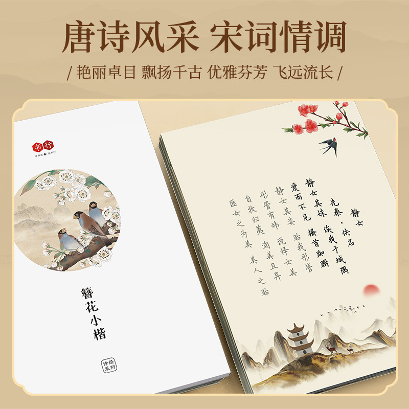 دفتر تدريب على الخط بالقلم الص - مراجعة Chinese Calligraphy Practice Book وسعره